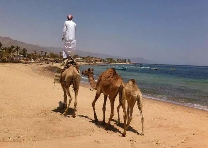 Habiba Otel